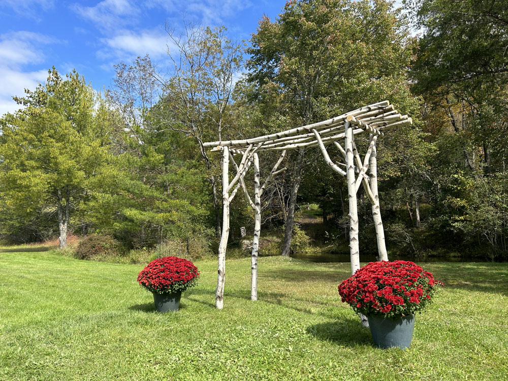 Rustic natural arbor made from white birch logs, twigs, and branches titled the Wedding Arbor 