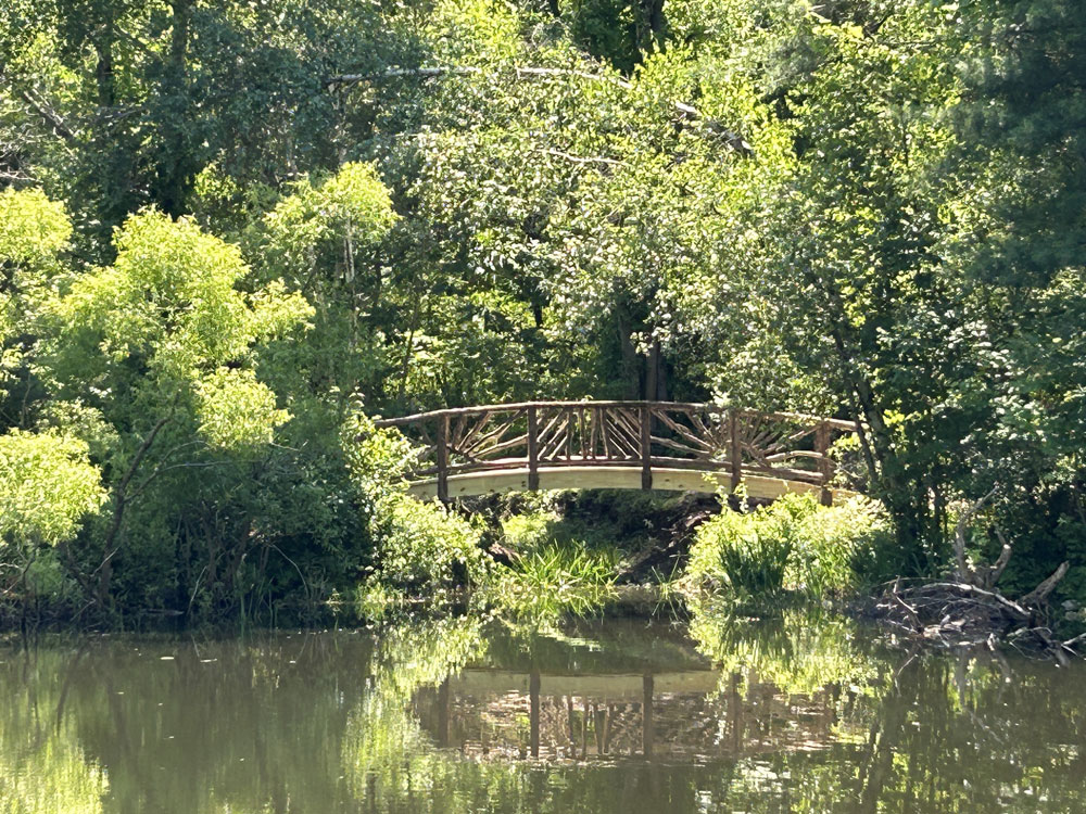 Rustic bridge custom built using cedar trees and branches titled the Hillsdale Bridge 