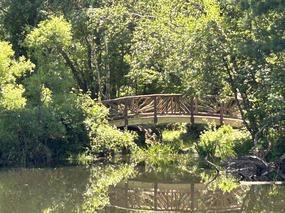 Natural wood bridge built with trees and branches titled the Hillsdale Bridge 