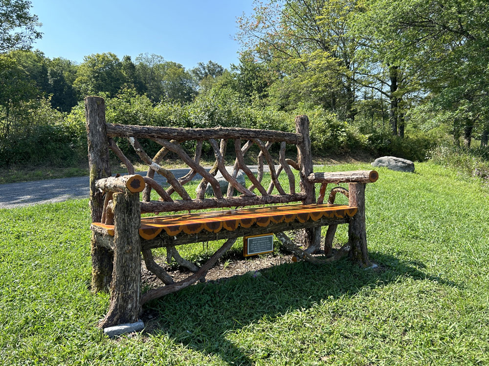 Natural wood bench built with trees and branches titled the Mohonk Putnam Bench