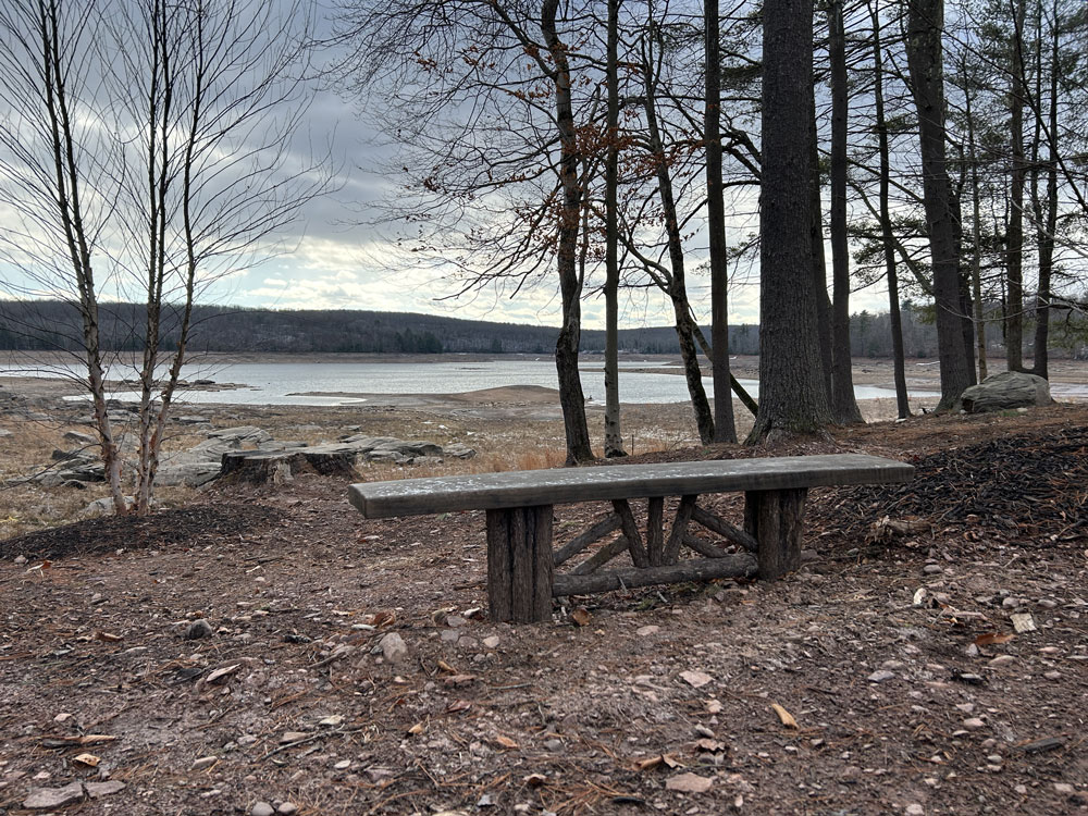 Natural wood bridge built with trees and branches titled the White Lake Bench