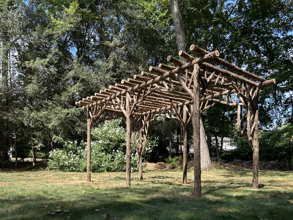 Rustic garden pergola built using bark-on trees and branches titled the Stamford Pergola