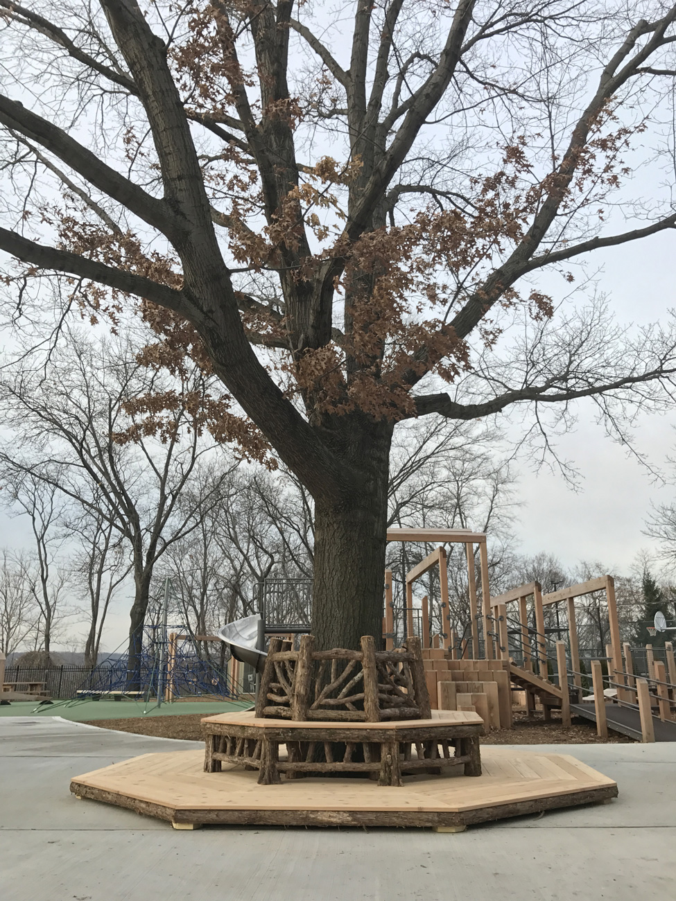 Outdoor rustic bench built around a tree constructed using bark-on trees and branches titled the Skyview Tree Bench