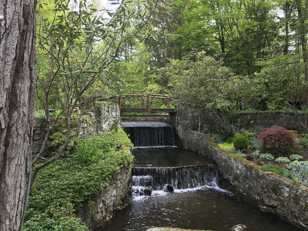 Rustic bridge built using bark-on trees and branches titled the Milltown Bridge's