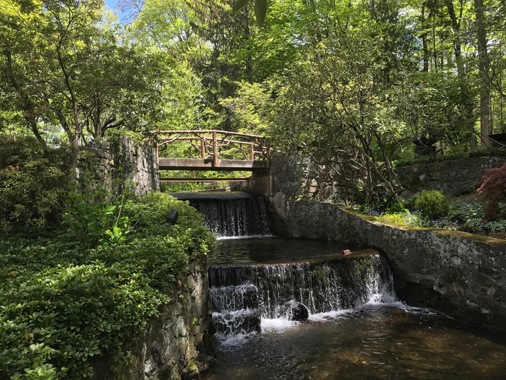 Natural wood bridge built with trees and branches titled the Milltown Bridge's