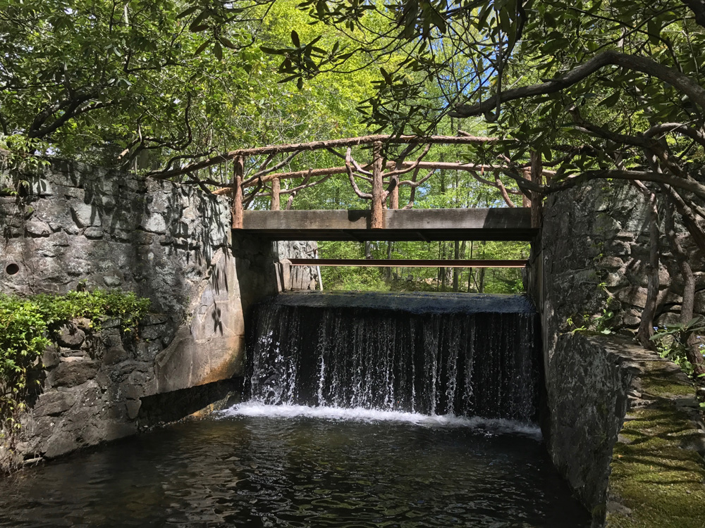 Rustic bridge built using bark-on trees and branches titled the Milltown Bridge's