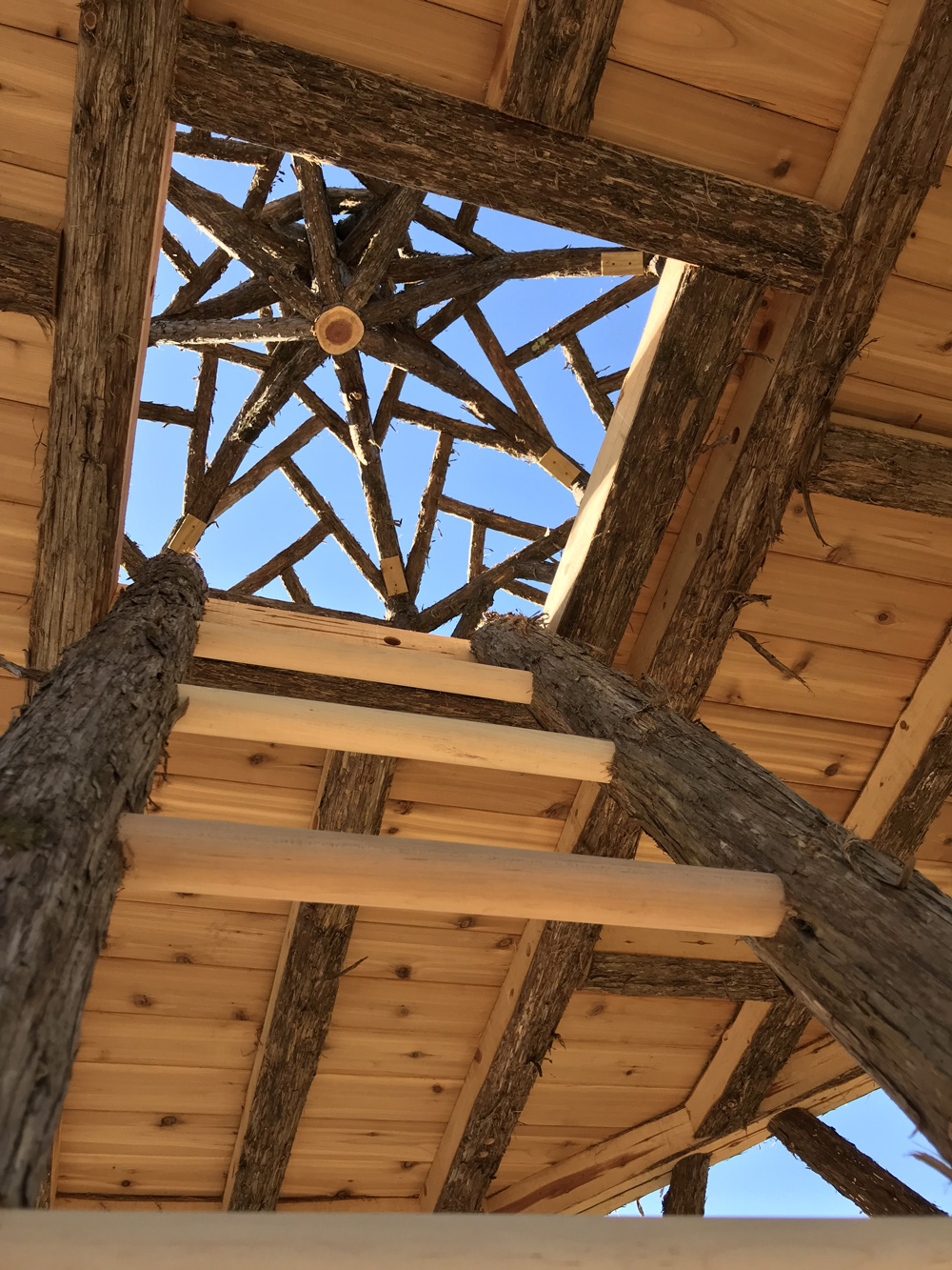 Natural wood two story gazebo built with trees and branches titled the Taunton Hill Tree Tower