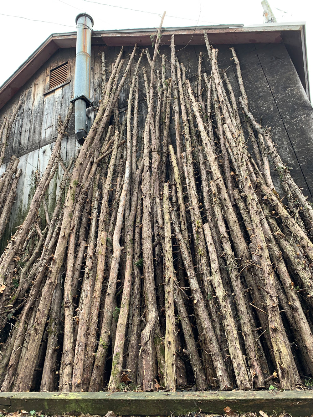 Material Gathering and Winter Prep