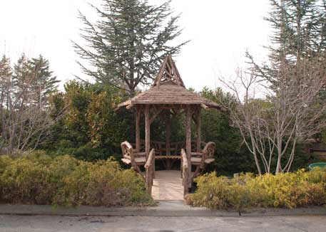 Hofstra Gazebo & Bridge