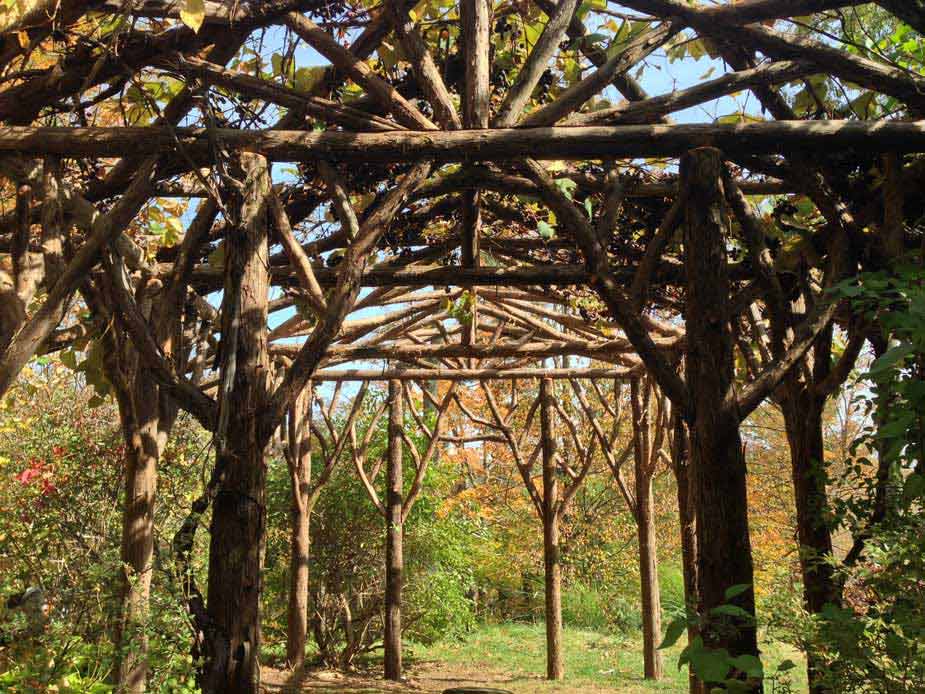Rustic natural pergola made from bark-on cedar logs, twigs, and branches titled the Onteora Grape