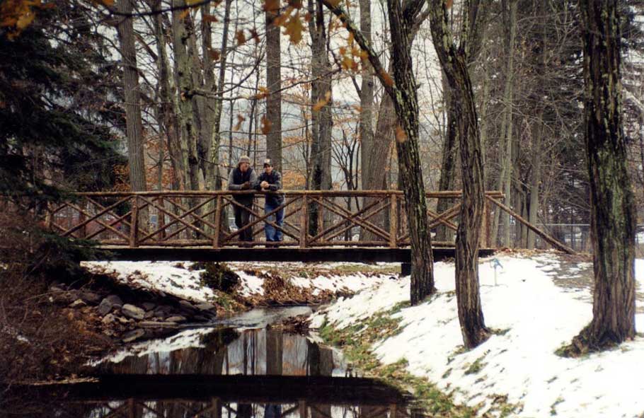 Natural wood bridge over a stream built with trees and branches at Kirkside Park in Roxbury NY