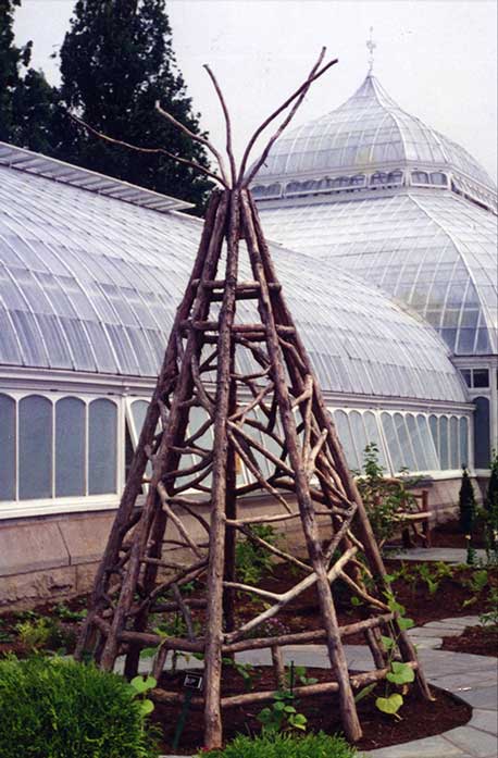 Rustic tepee custom built using cedar trees and branches