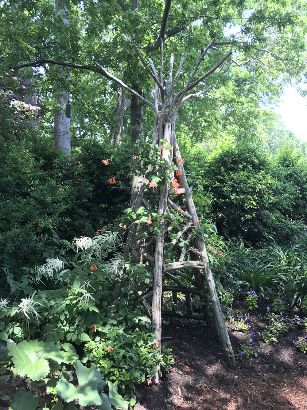 Outdoor garden tepee in the rustic style using logs and branches titled the Tyson Tepee